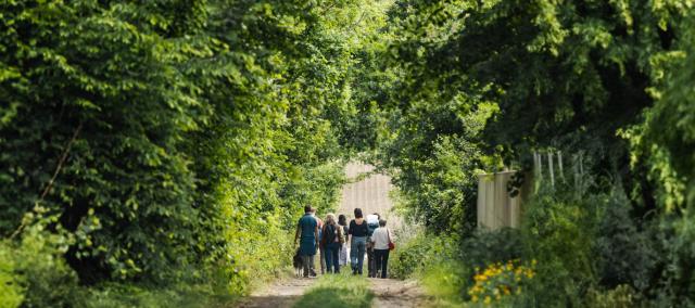 Wandelen langs trage wegen in Maarkedal © Gemeentebestuur Maarkedal Wandelen langs trage wegen in Maarkedal © Gemeentebestuur Maarkedal